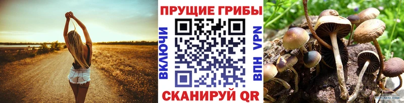 Галлюциногенные грибы Magic Shrooms  как найти закладки  МЕГА как зайти  Приволжский 